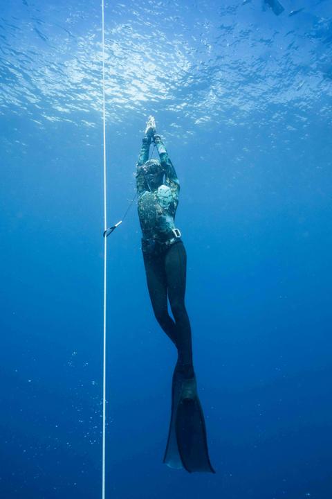 Freediving Course Sunshine Coast (PADI Certified)