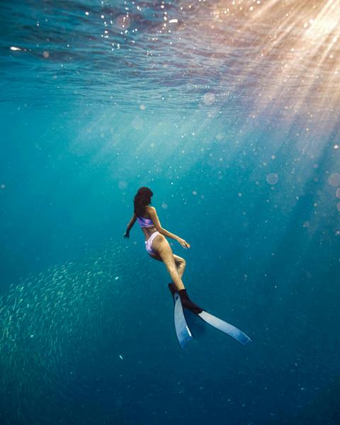 Flinders Reef Freedive and Snorkel - The Pressure Project Sunshine Coast