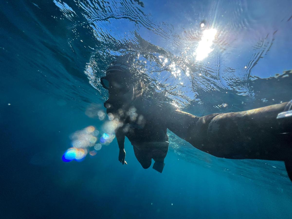 Flinders Reef Freedive and Snorkel - The Pressure Project Sunshine Coast