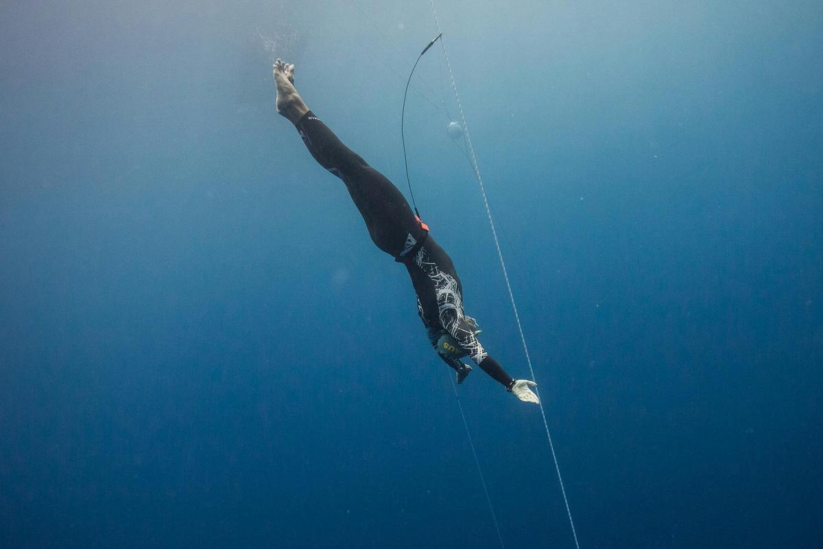 Freediving Course Sunshine Coast (PADI Certified)