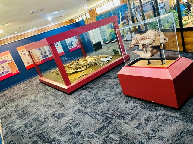 Australian Museum Diprotodon Exhibition