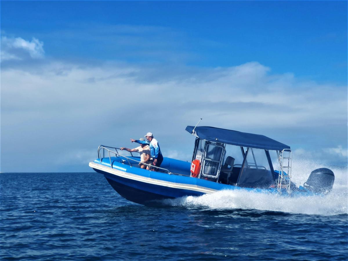 Get Dunk'ed - Dunk Island Tour