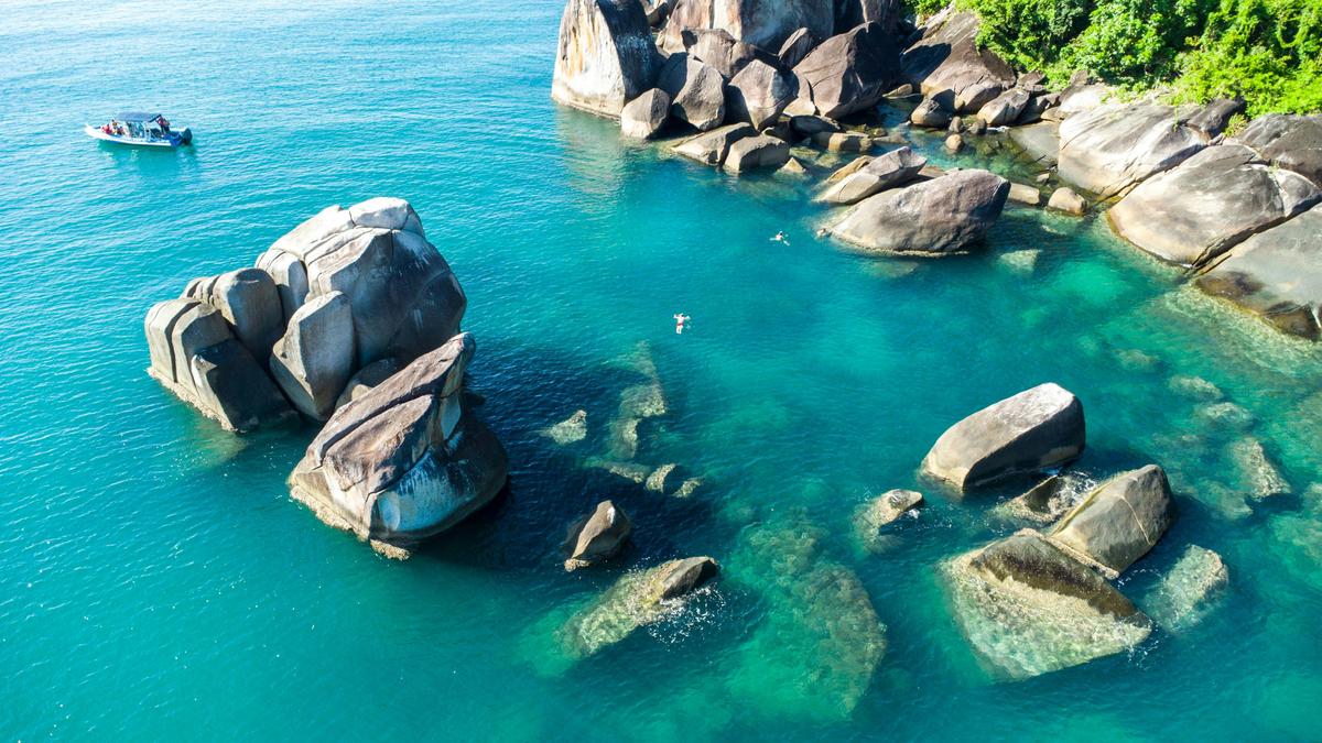 Get Dunk'ed - Dunk Island Tour