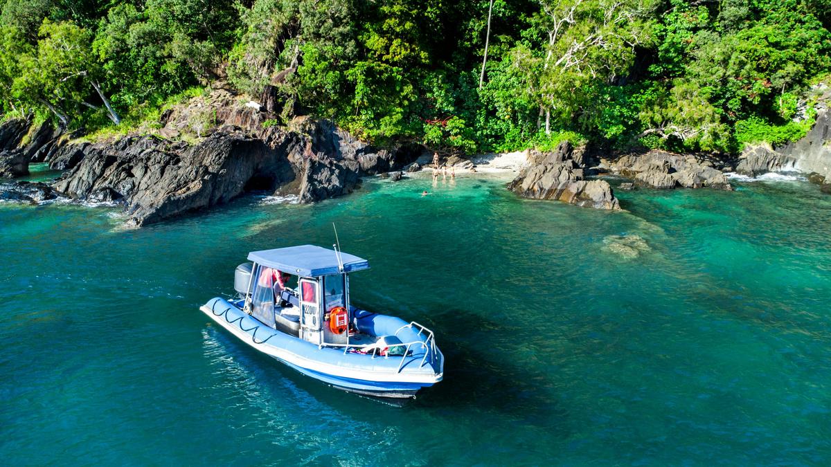 Get Dunk'ed - Dunk Island Tour