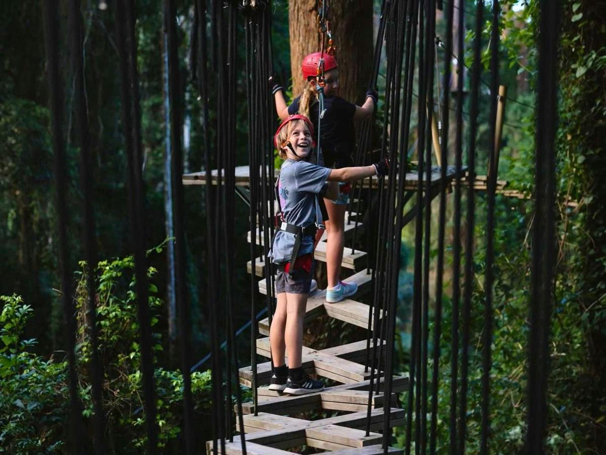 Explore the TreeTops! Build Confidence!