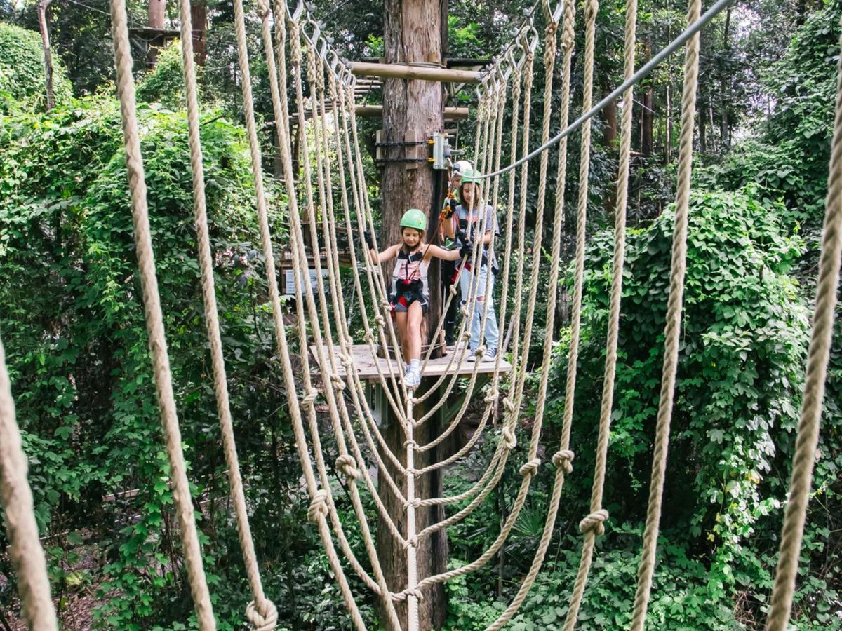 Unique games to challenge our youngest climbers!