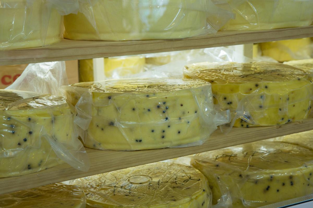 Cheese on display at Stanthorpe Cheese