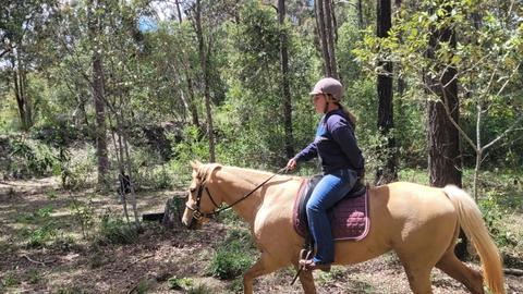THE CROFT HORSE FARM STAY