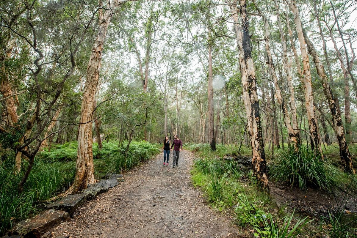 A couple, holding hands and walking along a trail surrounded by trees.