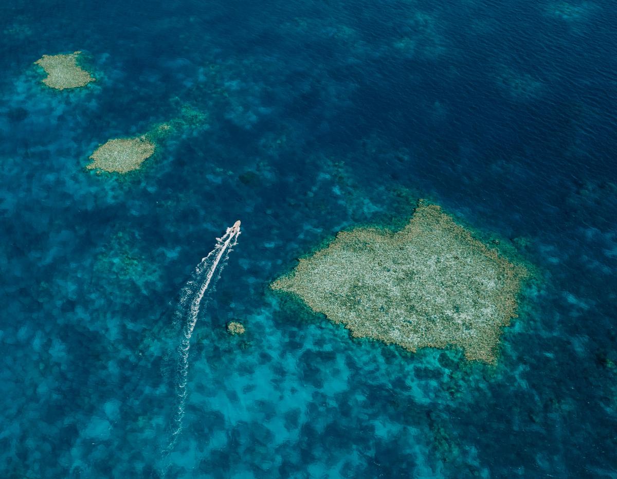 Reef
