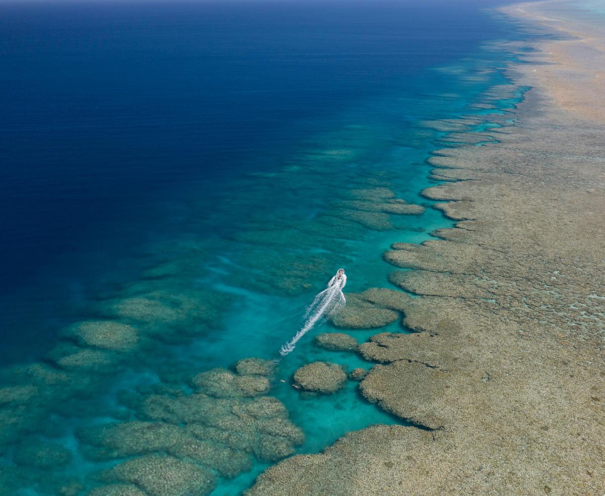 reef