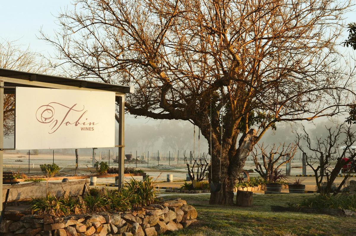 Cellar Door entrance and the tyre swings