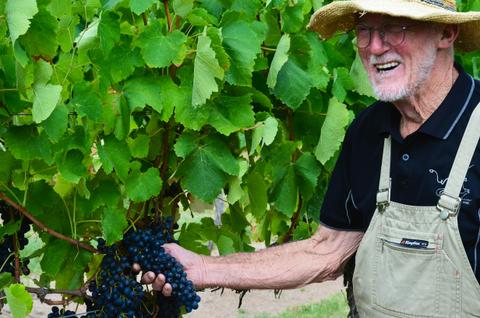 Tobin Wines