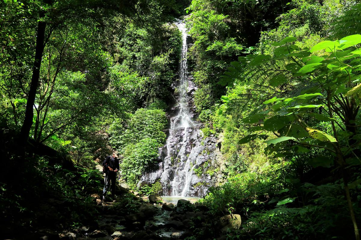Beautiful Lamington National Park