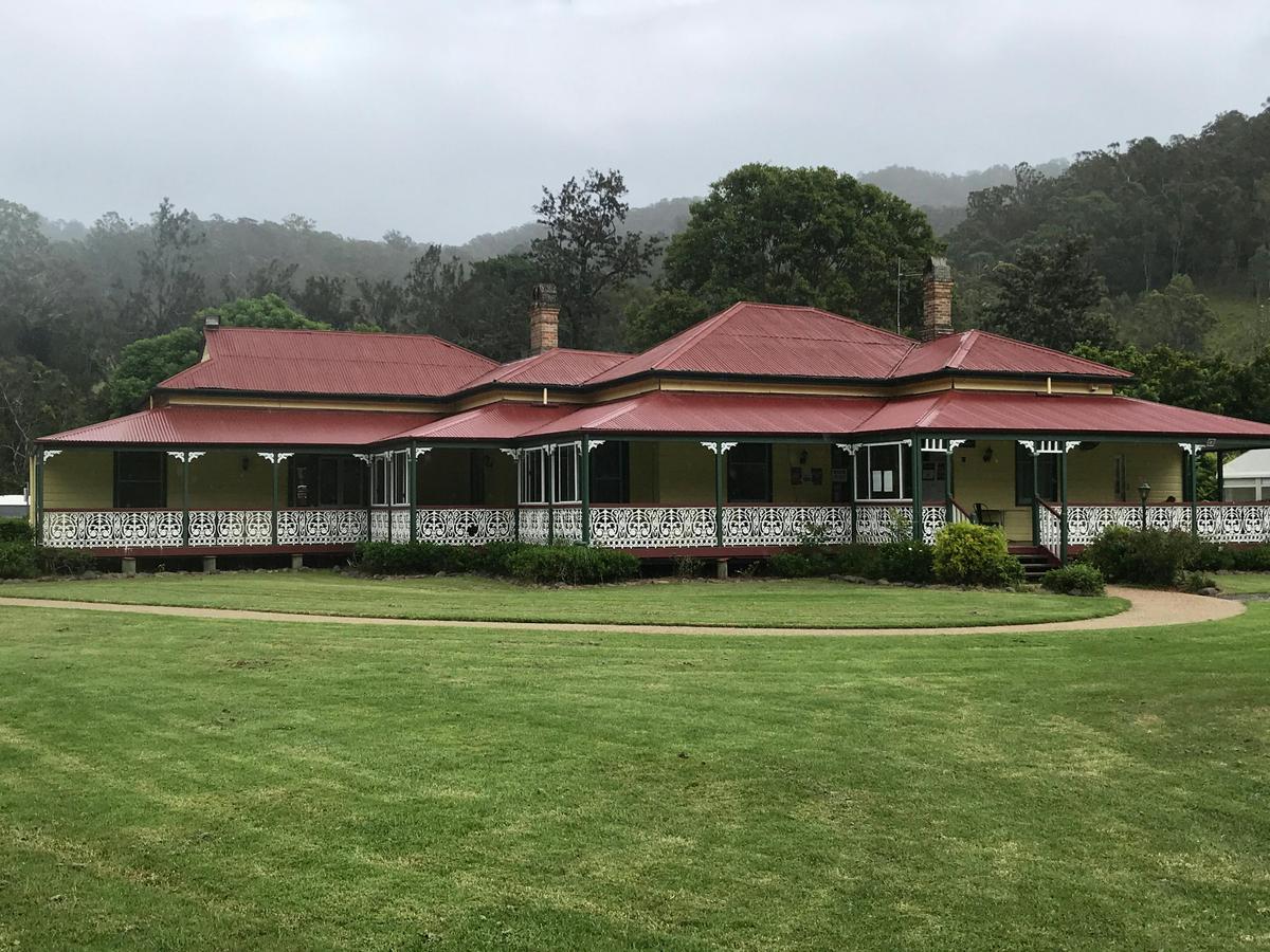 Lamington National Park Rainforest Adventure