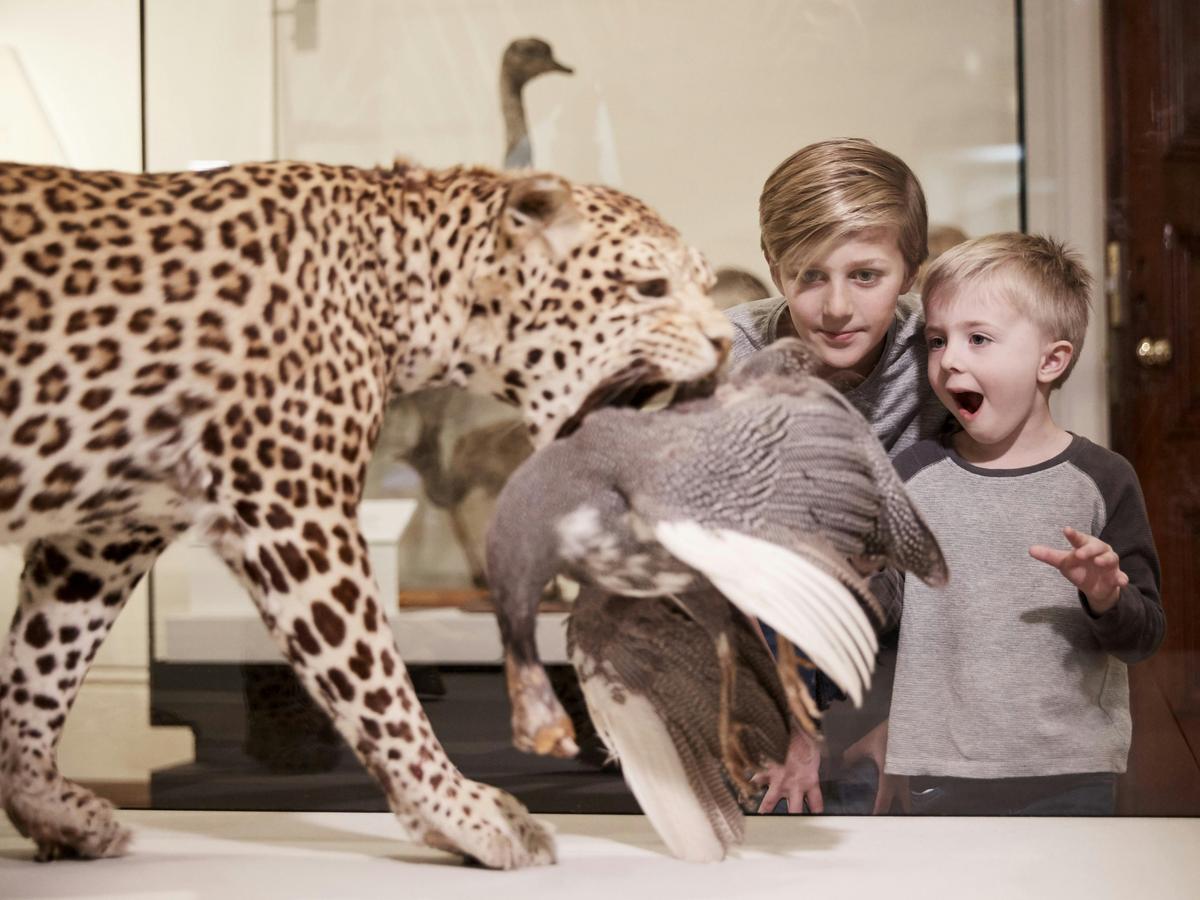 Come and see life on earth in all its glorious diversity – over 400 animals under one roof!