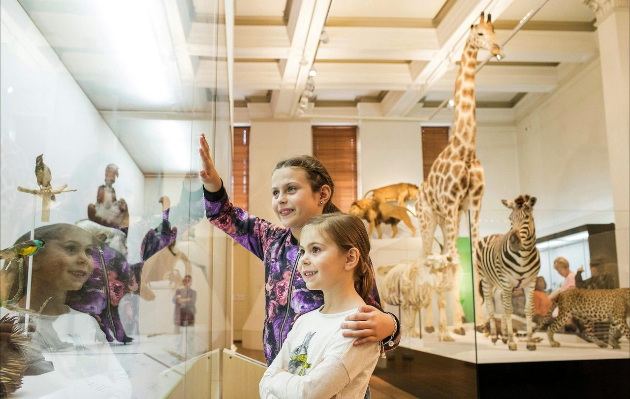 Australian Museum