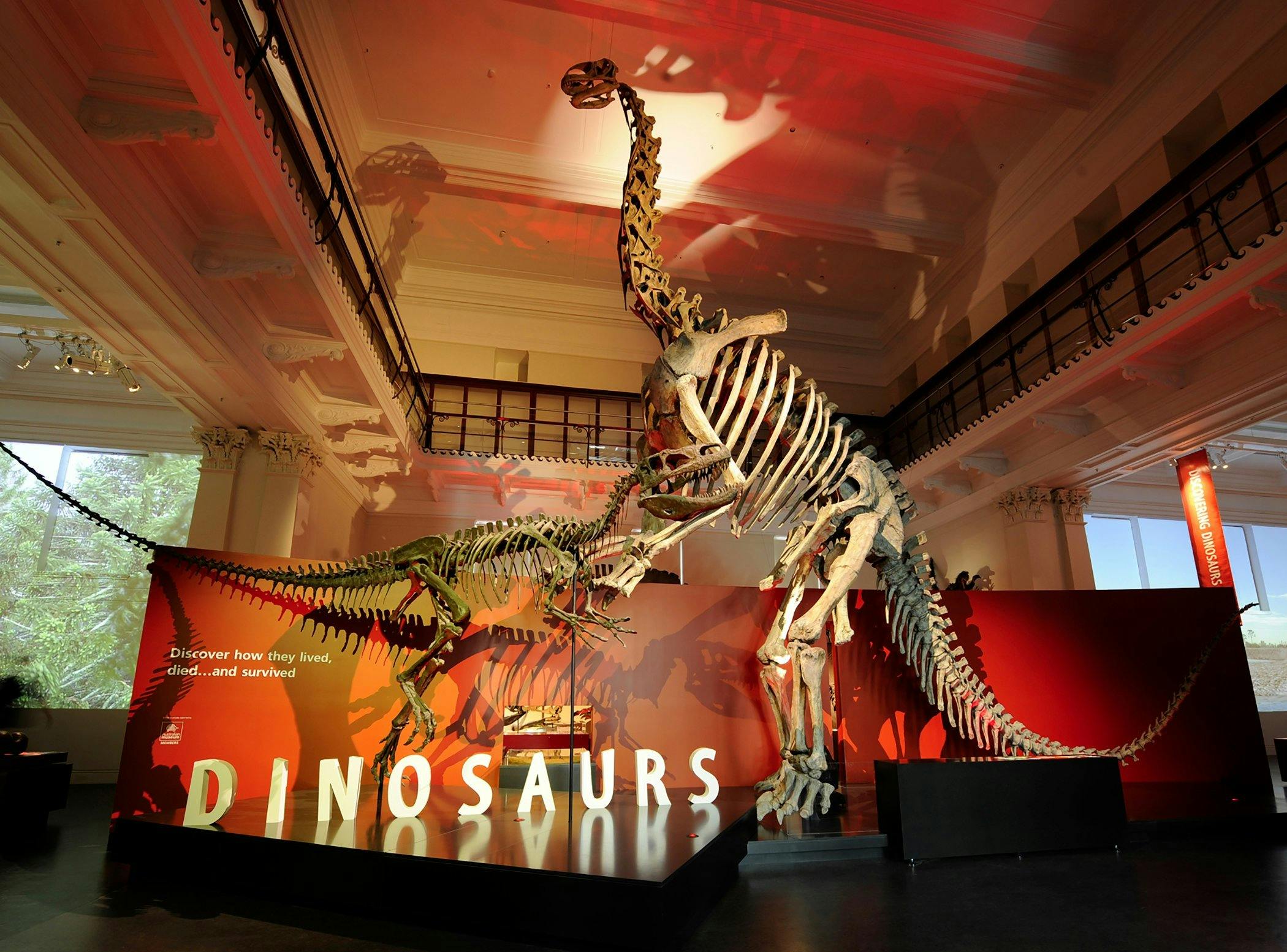 Dinosaurs exhibition at the Australian Museum