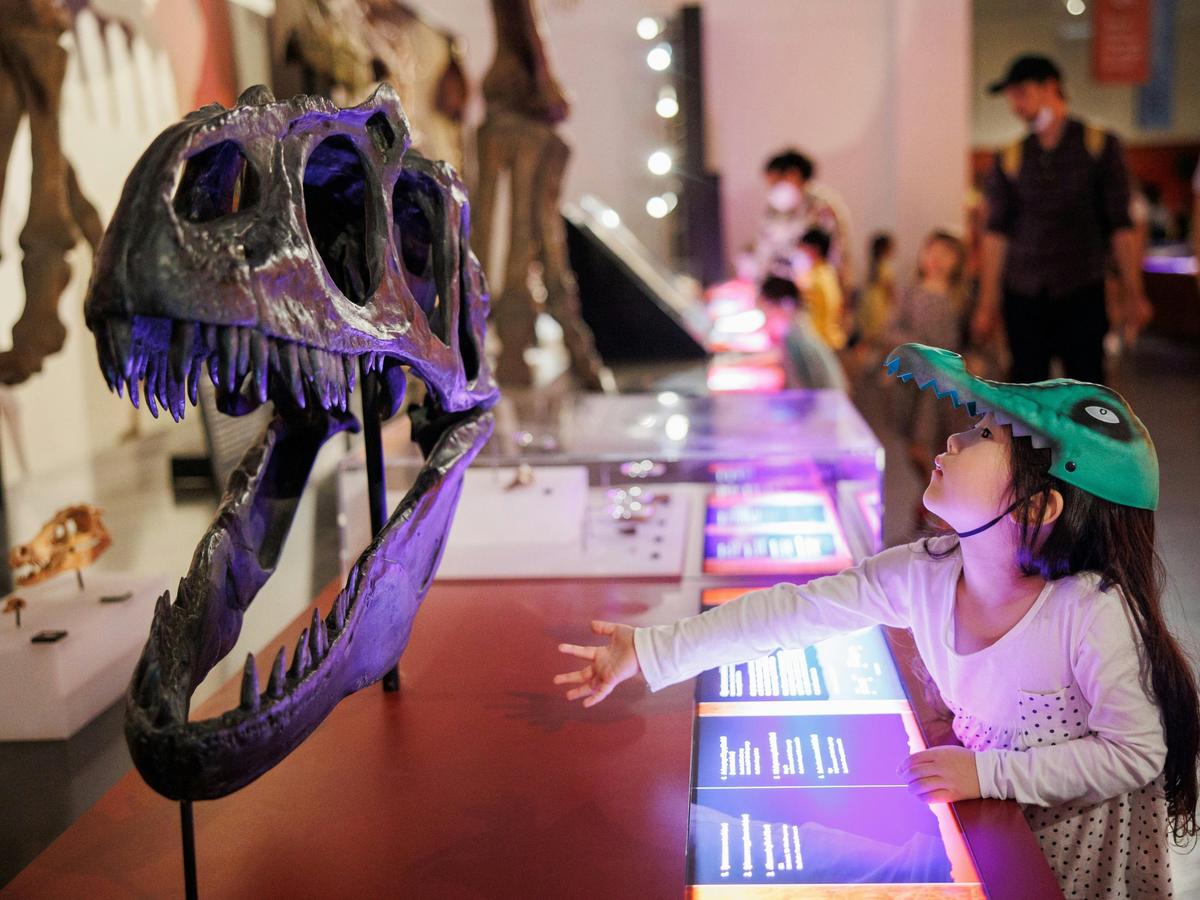 Come face-to-face with real dinosaur skeletons and life-size models at the Australian Museum.