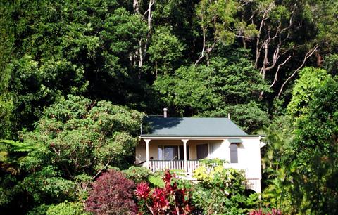 Rainforest Cottage