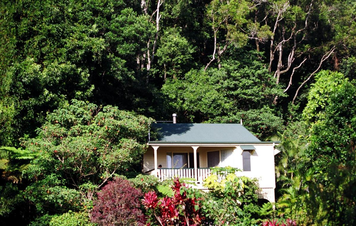 Rainforest Cottage