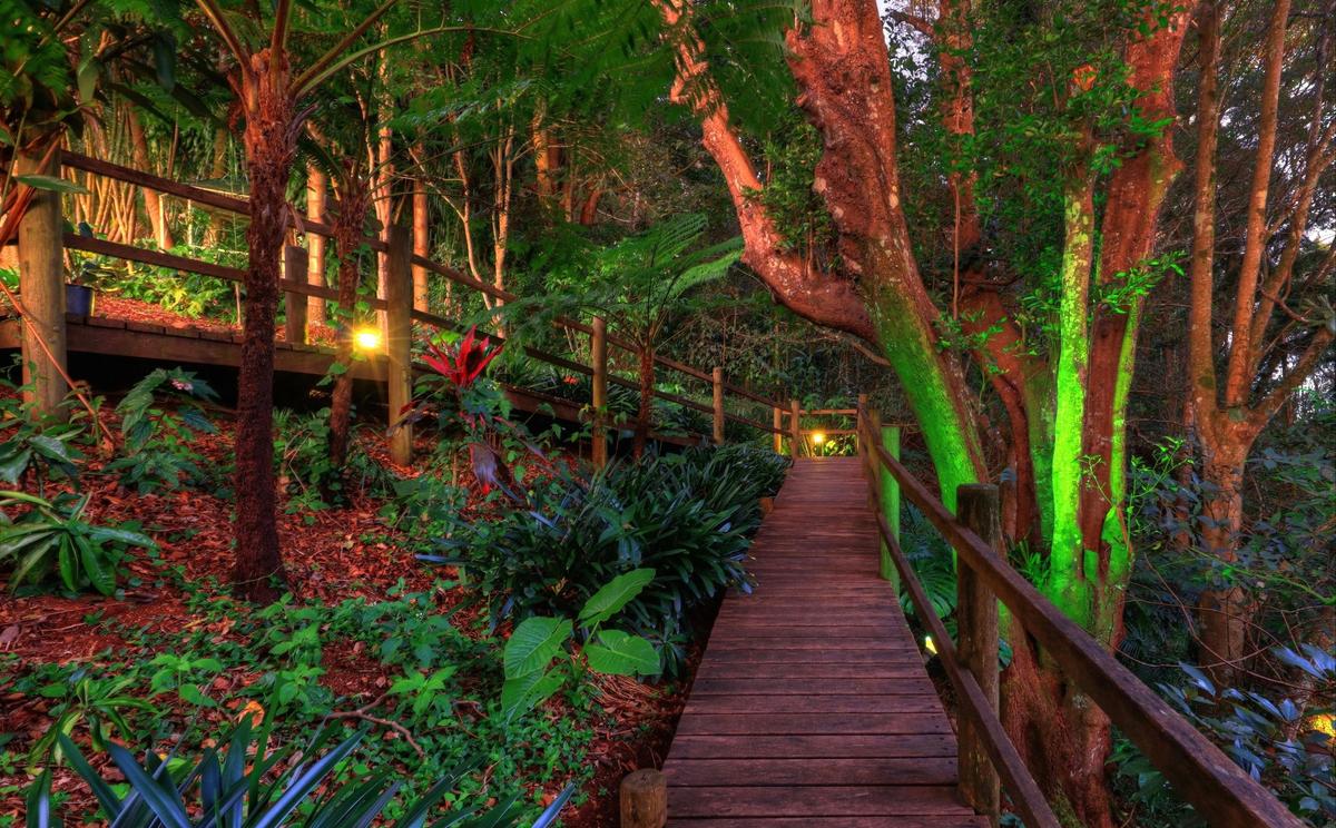 Rainforest boardwalk at The Falls Montville