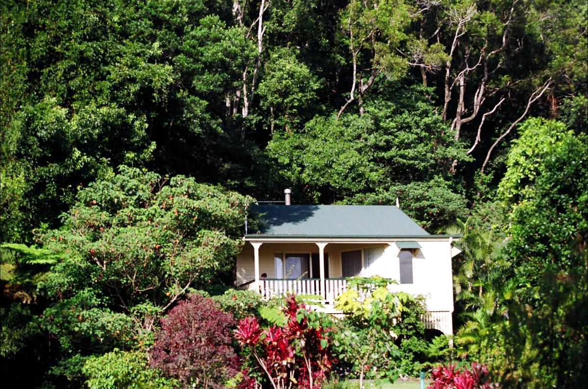 Rainforest cottage tranquility
