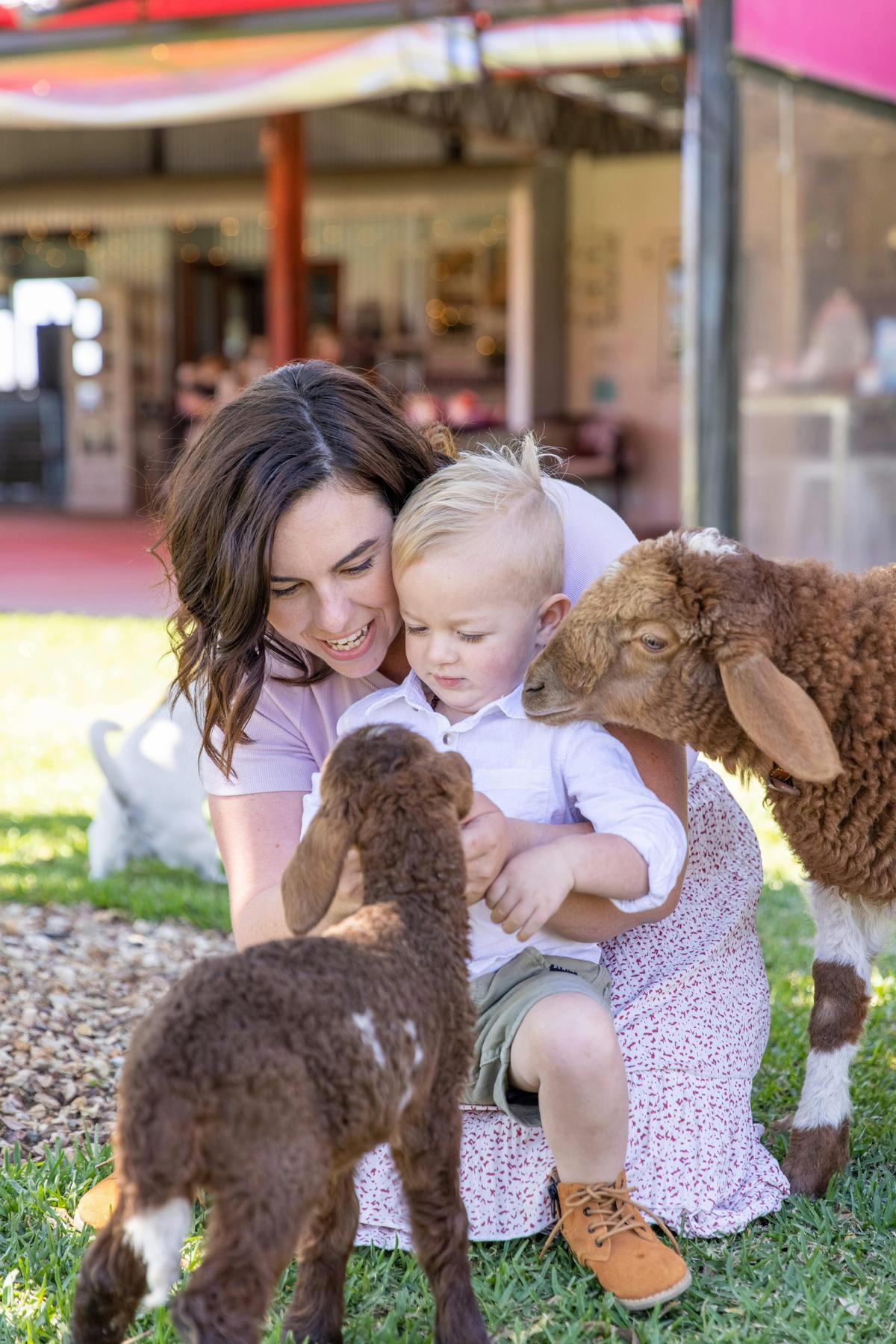 Our Adorable Lambs