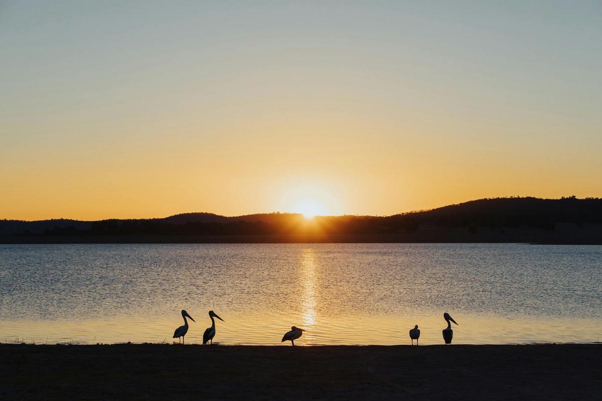 Leslie Dam