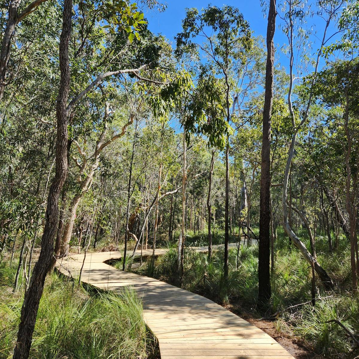 386 m accessible bushland boardwalk at Traveller's Rest 1770, Agnes Water, 1770 Queensland