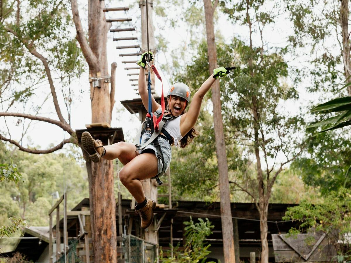 Feel the thrill of soaring through the TreeTops!