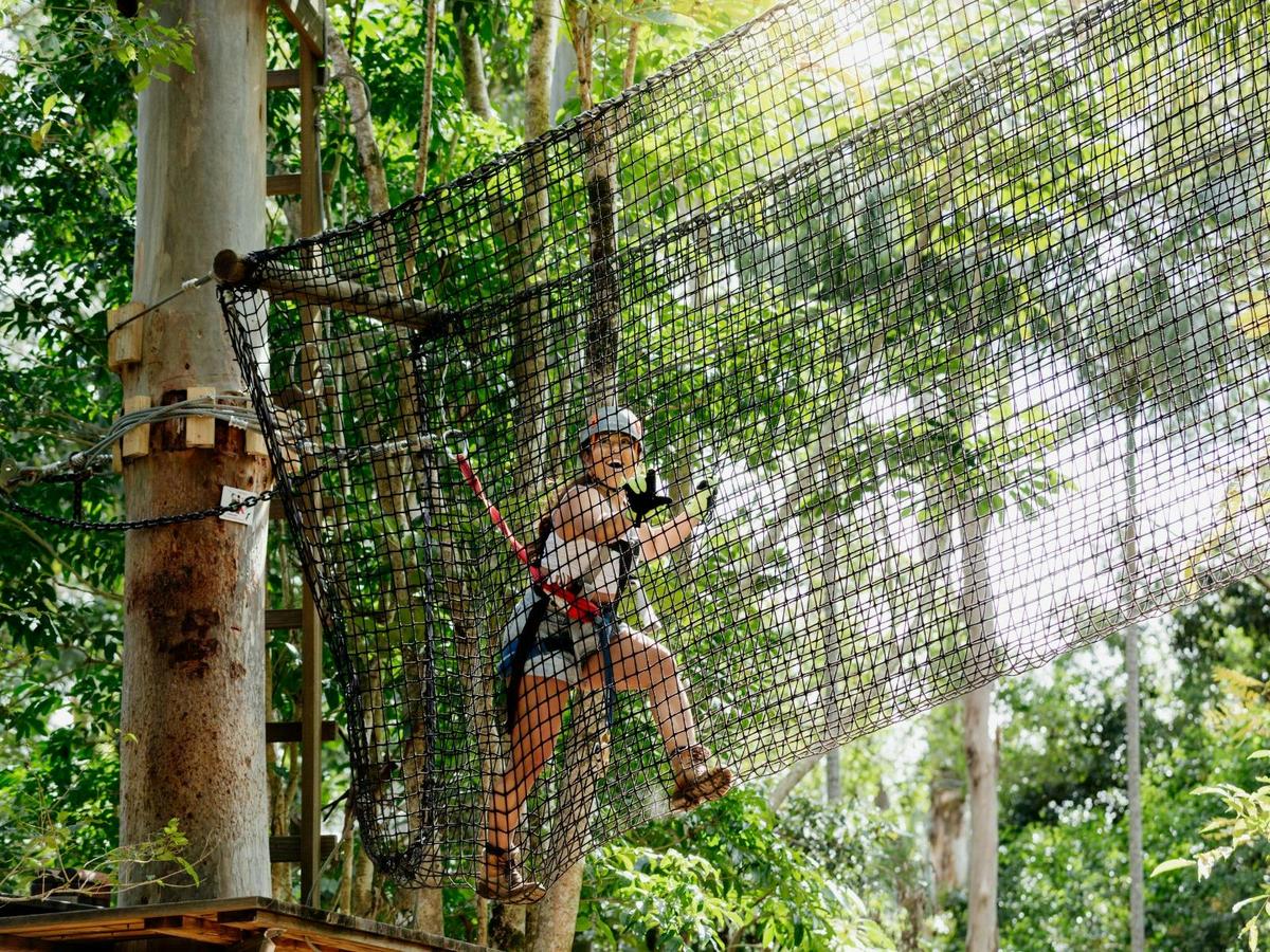 Immerse yourself in stunning hinterland rainforest while complete exciting high wire challenges