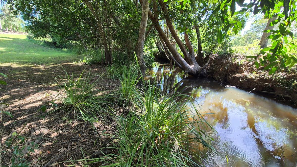 Tudd's Shady Creek Camp