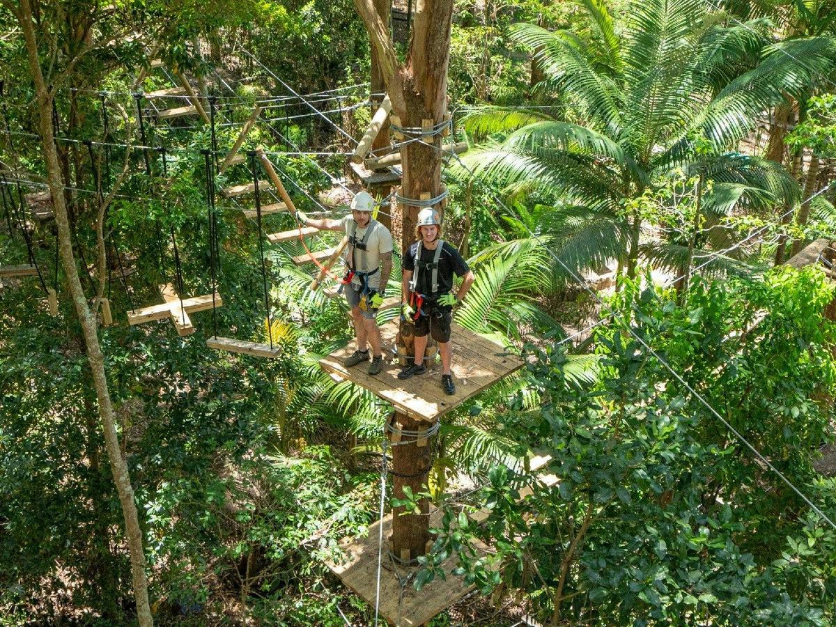 Stunning natural rainforest to explore while you climb