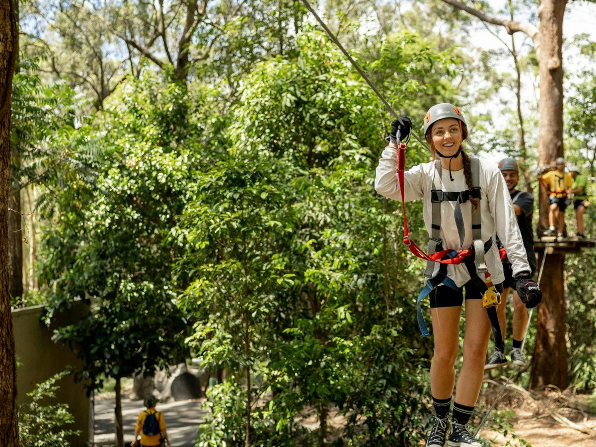 Conquer heights and boost confidence!