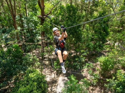 TreeTop Challenge Currumbin Wildlife Sanctuary
