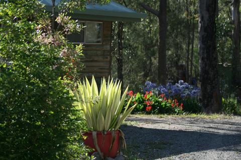 Kookaburra and Jewel  Log Cabins
