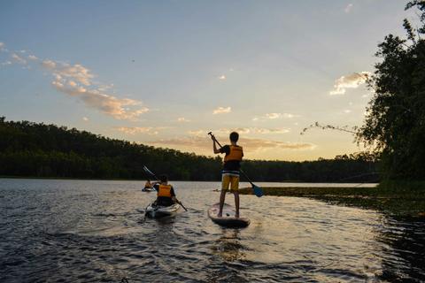 Stand Up Paddle Board Hire
