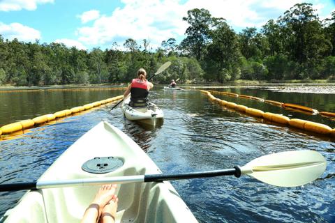 Kayak Hire