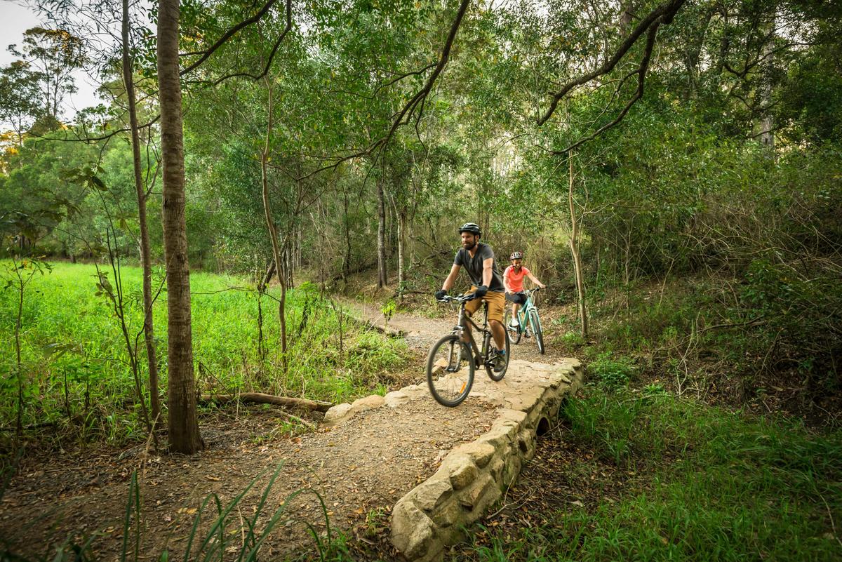 Mountain biking along the trails of D'Aguilar National Park.