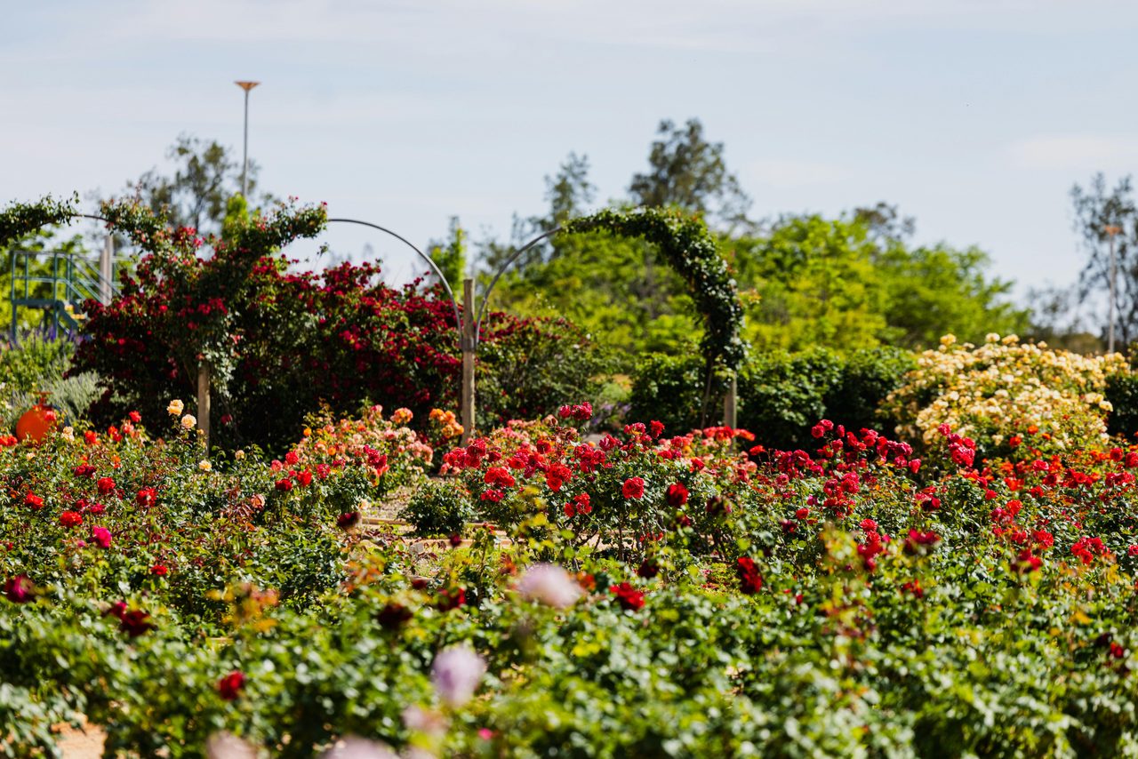 Australian inland Botanical Gardens