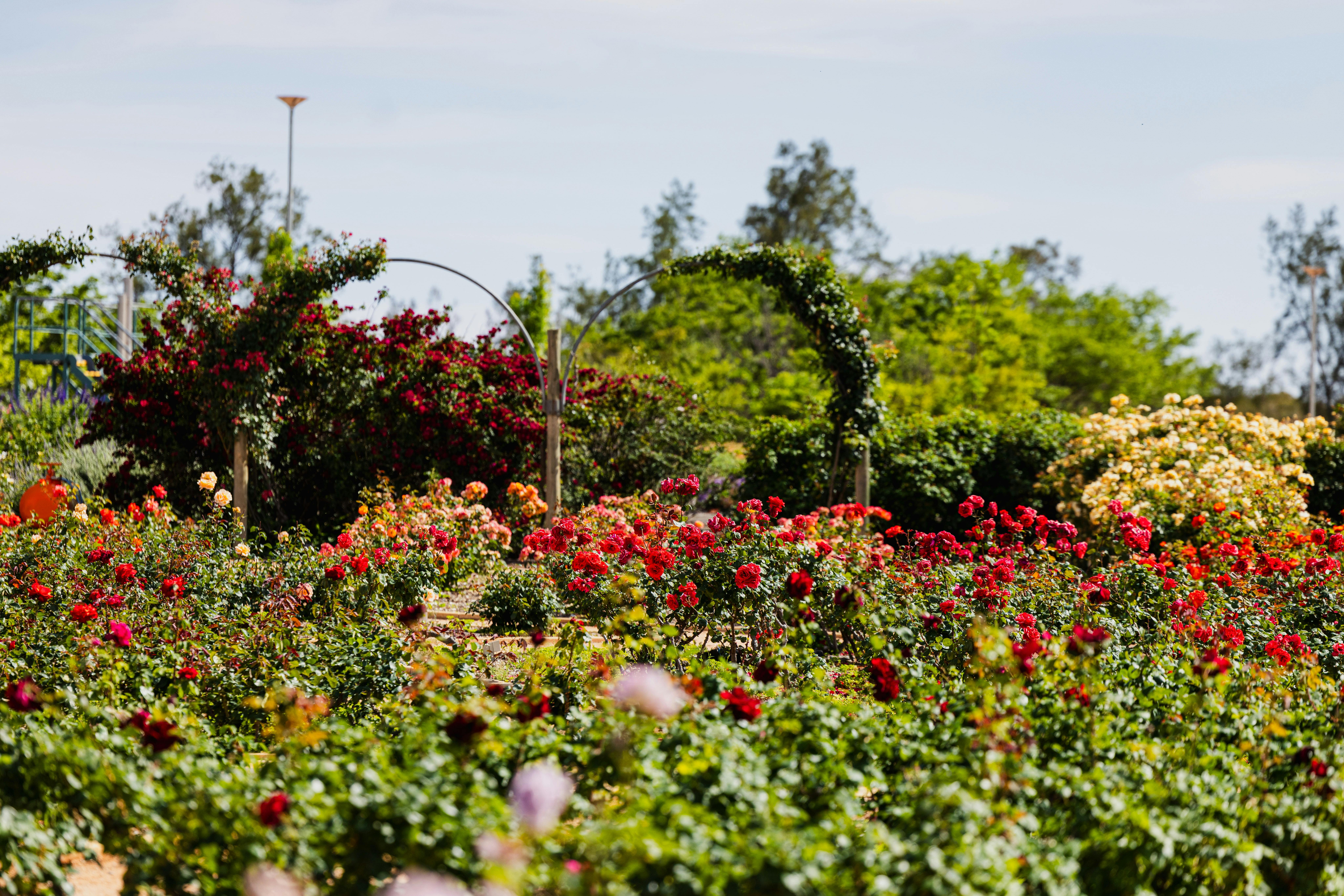 Australian inland Botanical Gardens