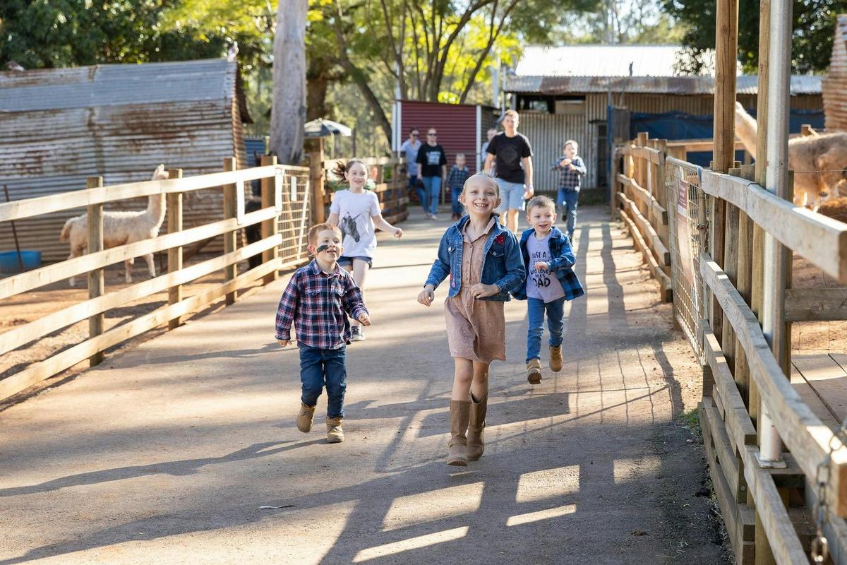 "Pure joy at White Ridge Farm!