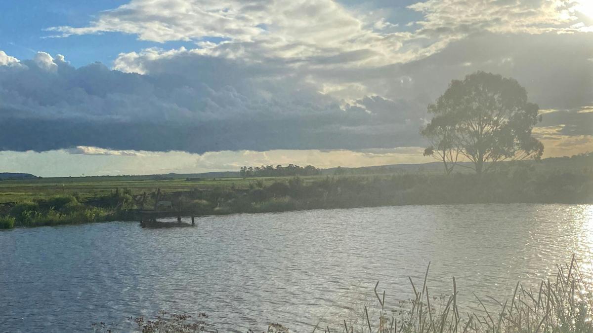 Great spot for catching yabbies