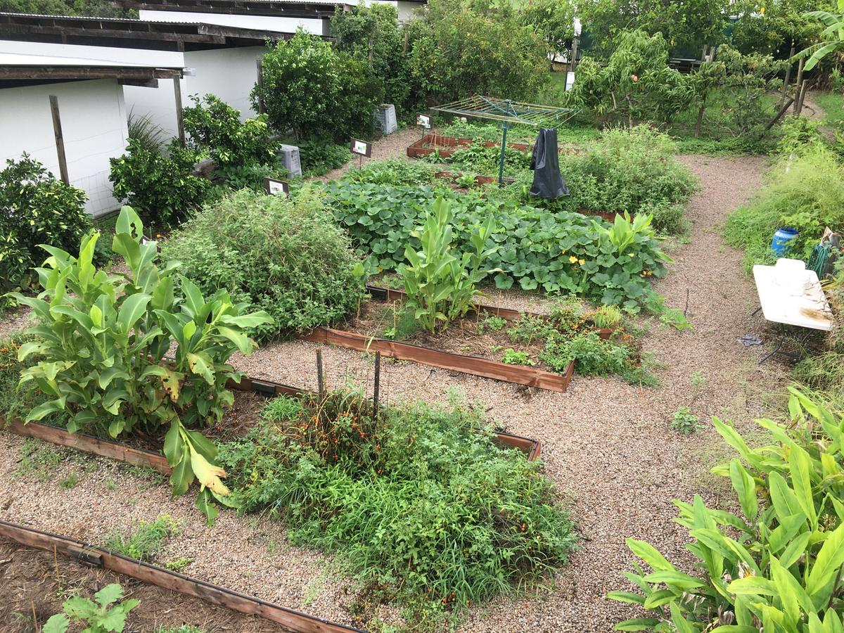 Permaculture Garden