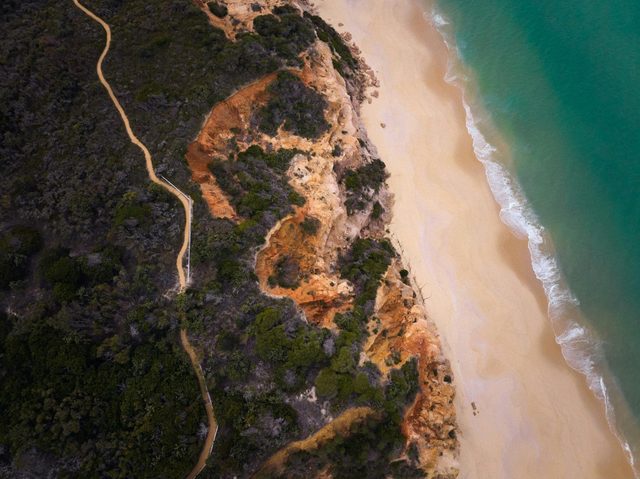 Pinnacles Loop Walking Track