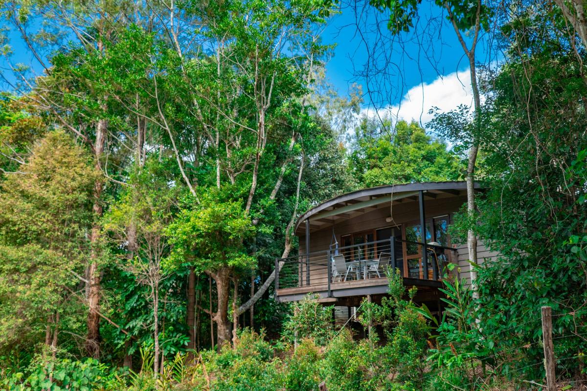 Cottage amongst the trees