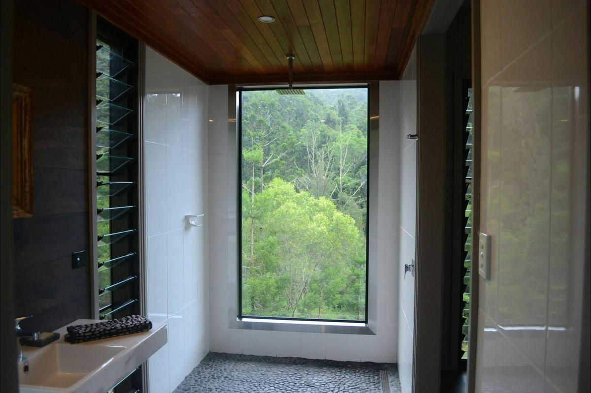Bimbul (Hoop Pine)