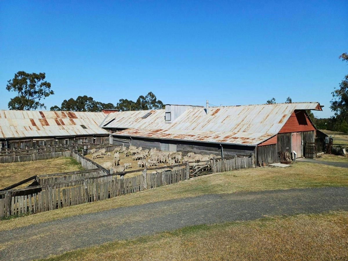The Historic Woolshed