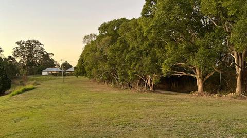 Wallaby Ridge